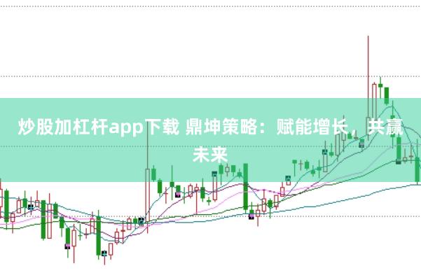炒股加杠杆app下载 鼎坤策略：赋能增长，共赢未来