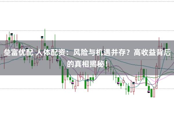 垒富优配 人体配资：风险与机遇并存？高收益背后的真相揭秘！