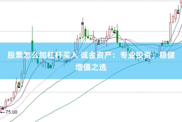 股票怎么加杠杆买入 诚金资产:专业投资,稳健增值之选