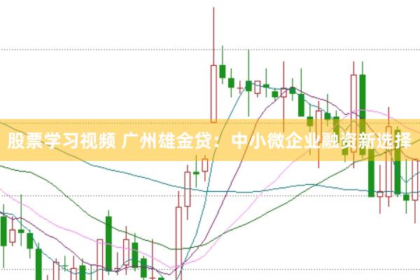 股票学习视频 广州雄金贷：中小微企业融资新选择