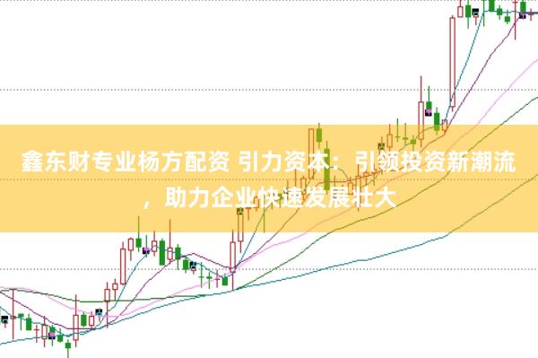 鑫东财专业杨方配资 引力资本：引领投资新潮流，助力企业快速发展壮大