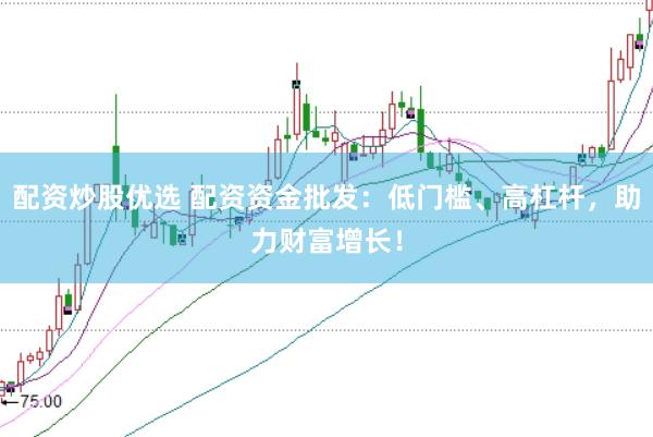 配资炒股优选 配资资金批发：低门槛、高杠杆，助力财富增长！