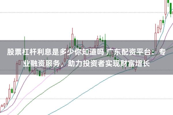 股票杠杆利息是多少你知道吗 广东配资平台：专业融资服务，助力投资者实现财富增长