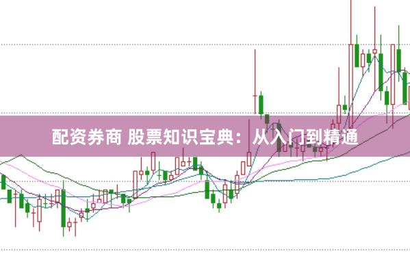配资券商 股票知识宝典：从入门到精通