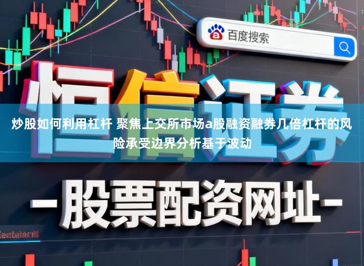 炒股如何利用杠杆 聚焦上交所市场a股融资融券几倍杠杆的风险承受边界分析基于波动