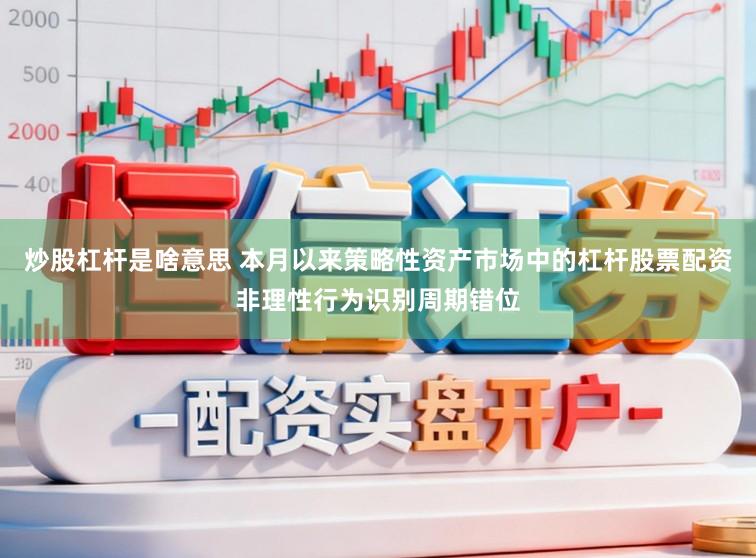 炒股杠杆是啥意思 本月以来策略性资产市场中的杠杆股票配资非理性行为识别周期错位