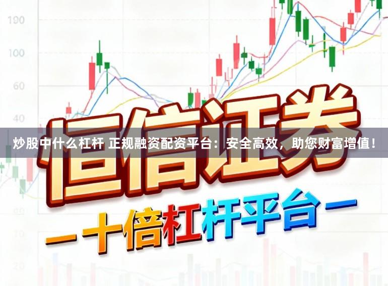 炒股中什么杠杆 正规融资配资平台：安全高效，助您财富增值！